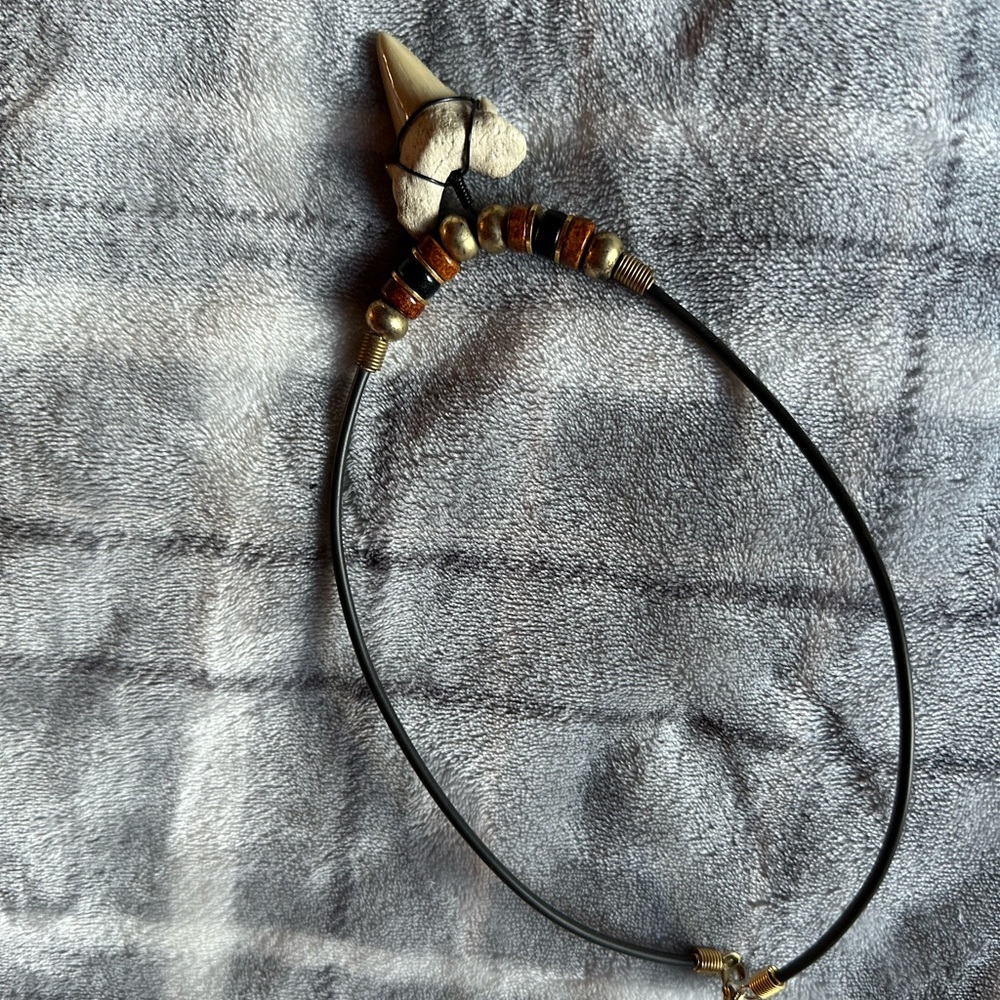 Shark tooth